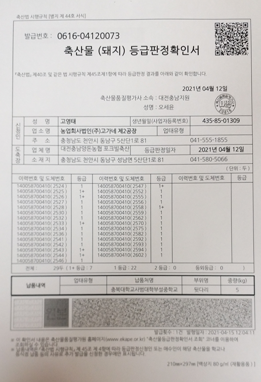 등급판정서