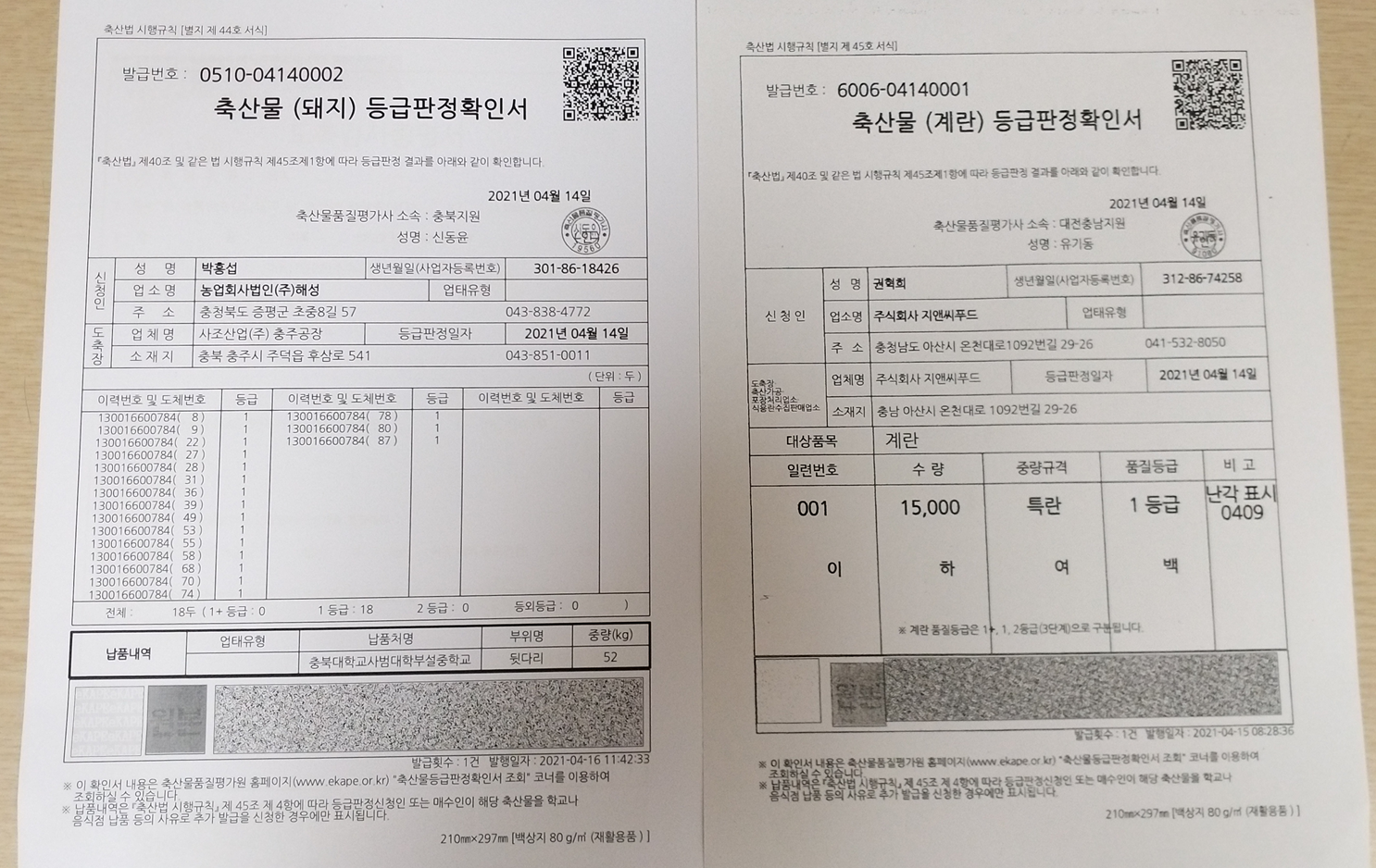 등급판정서