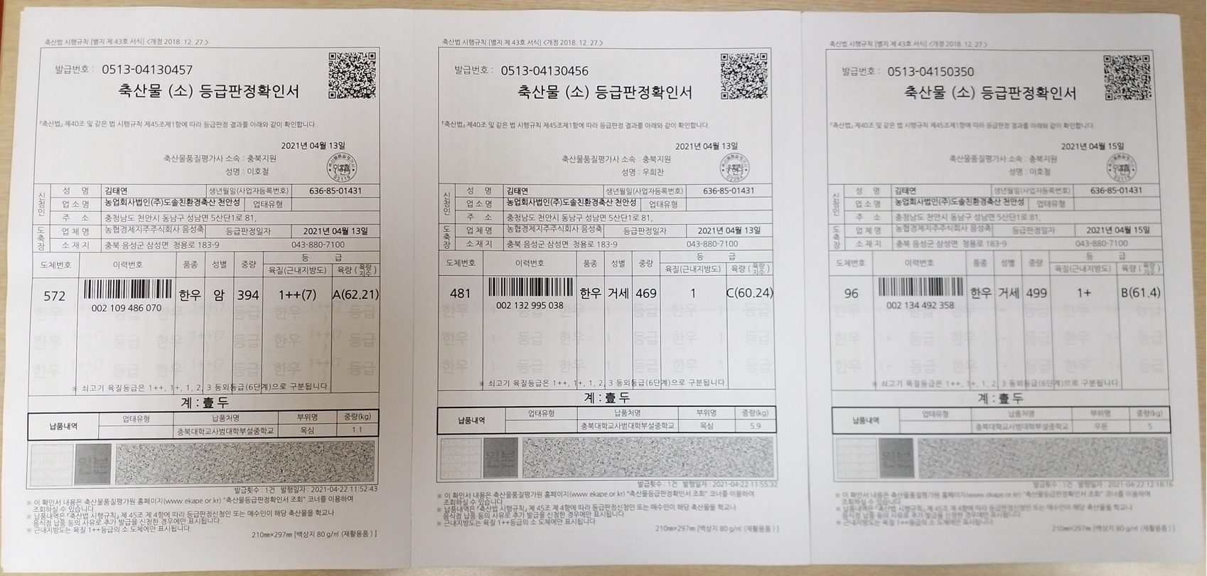 등급판정서