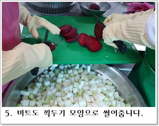 비트깍두기5