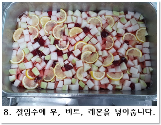 비트깍두기8