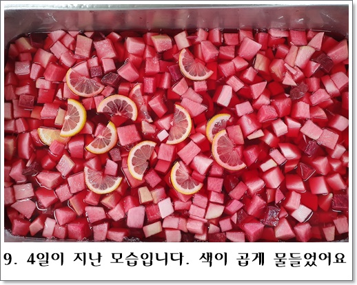 비트깍두기9
