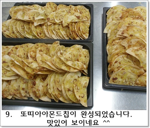 또띠아9