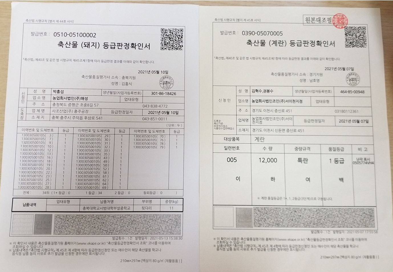 등급판