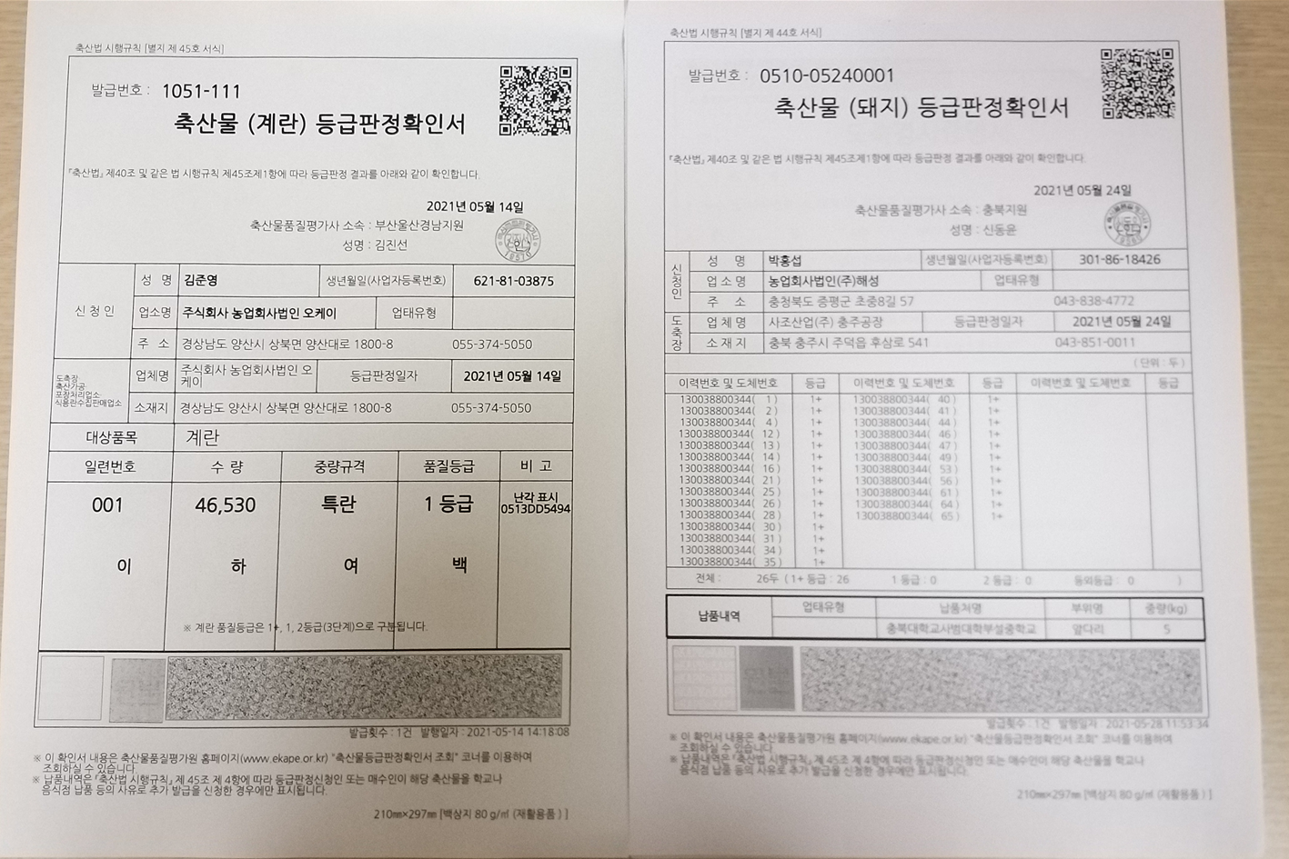 등급판정서2