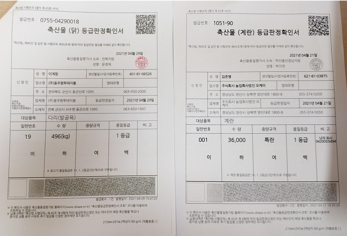 등급판정서