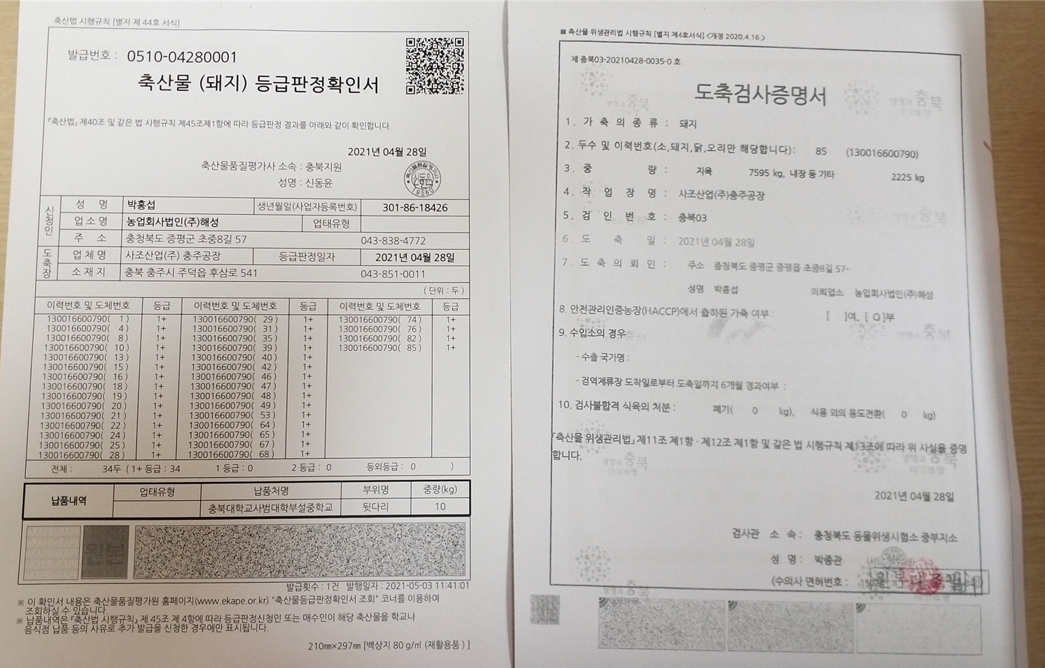 등급판정서