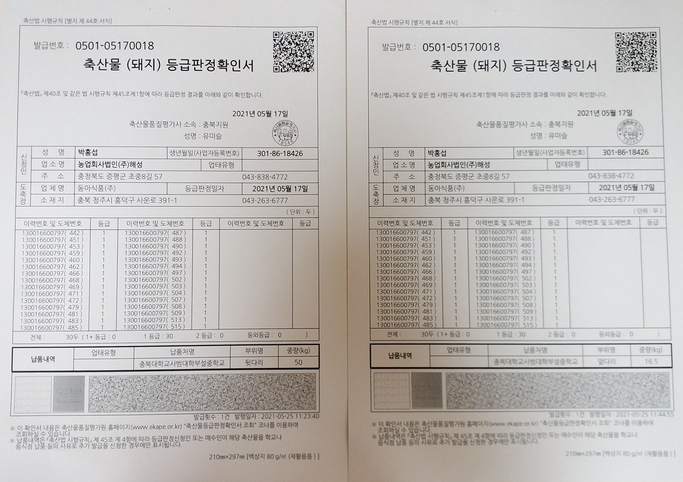 등급판정서2