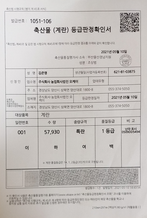 등급판정