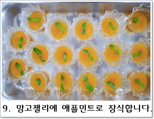 망고젤리9