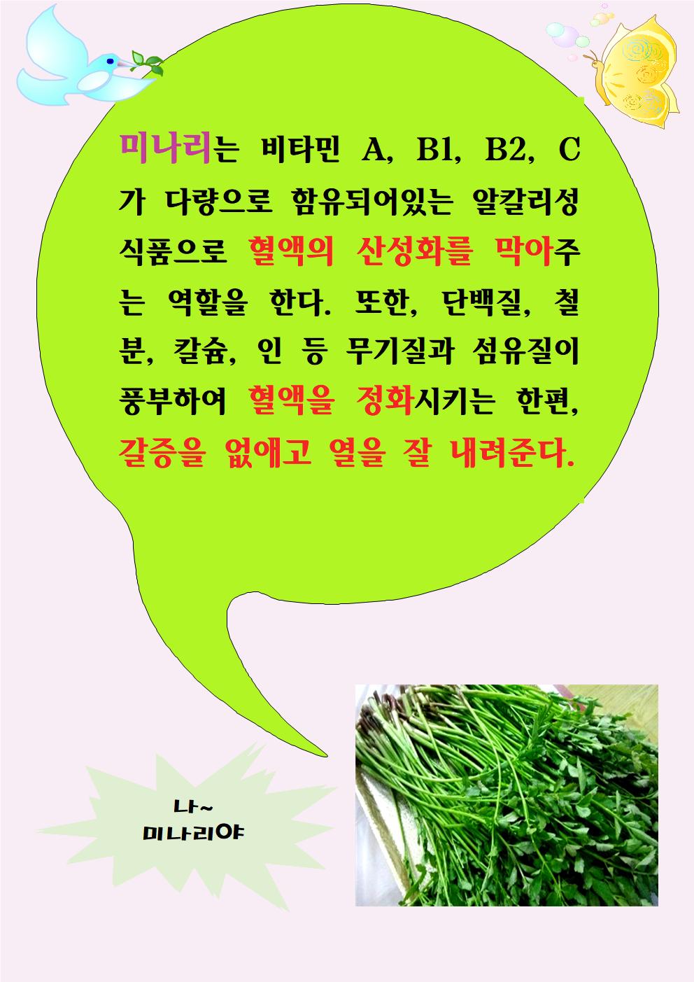 미나리(5.18)001