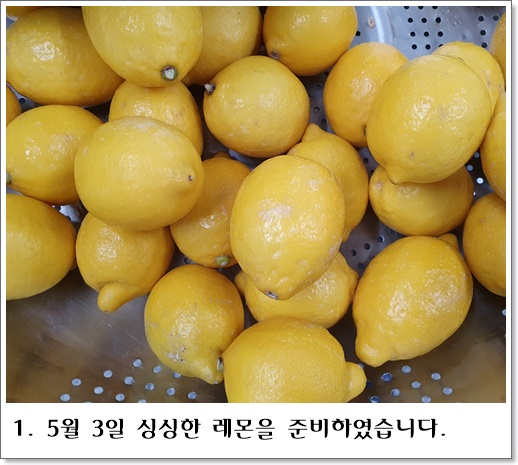 레모네이드1