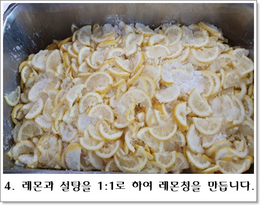 레모네이드4