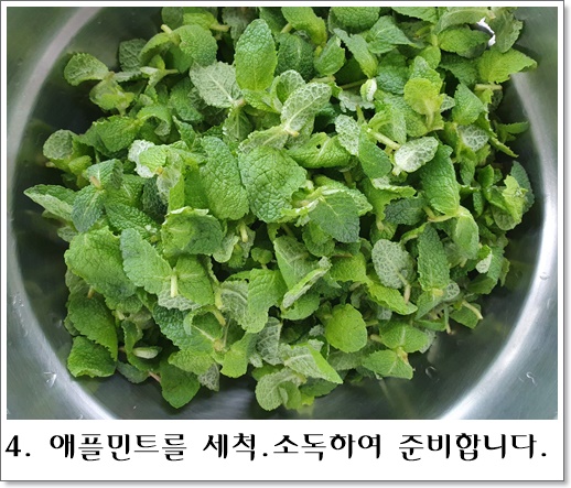 망고젤리4