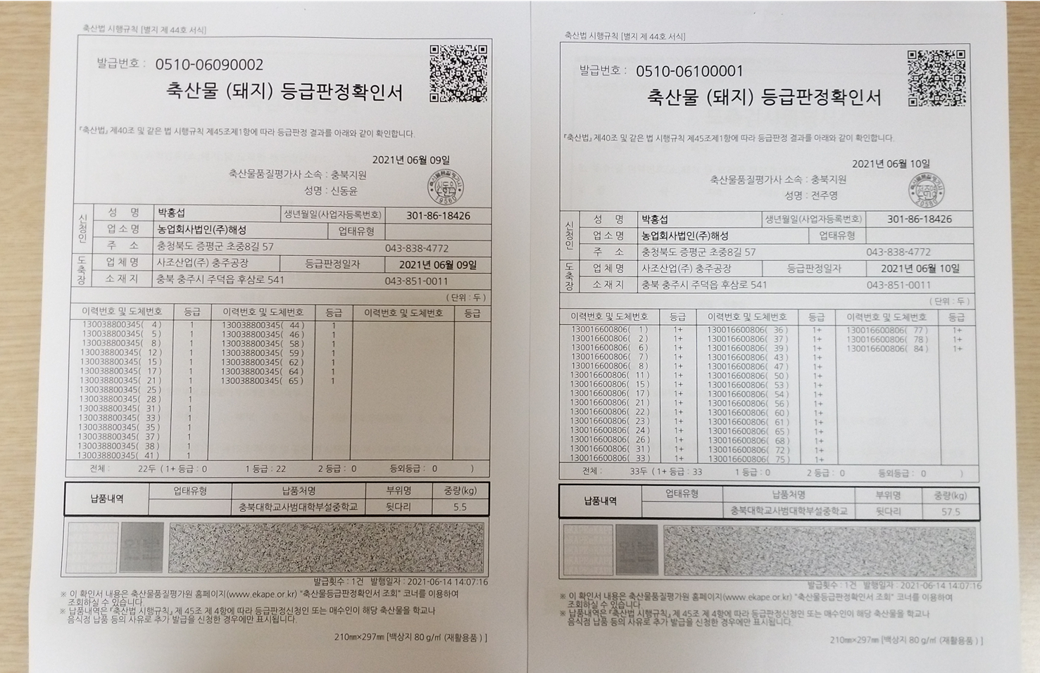 등판2