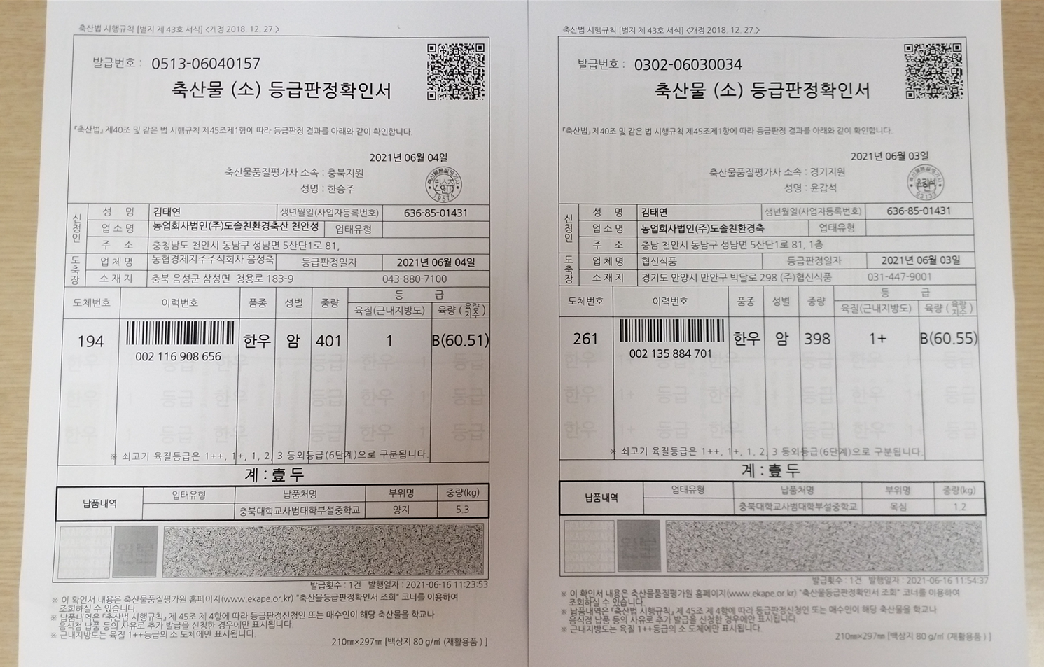 등급판정서