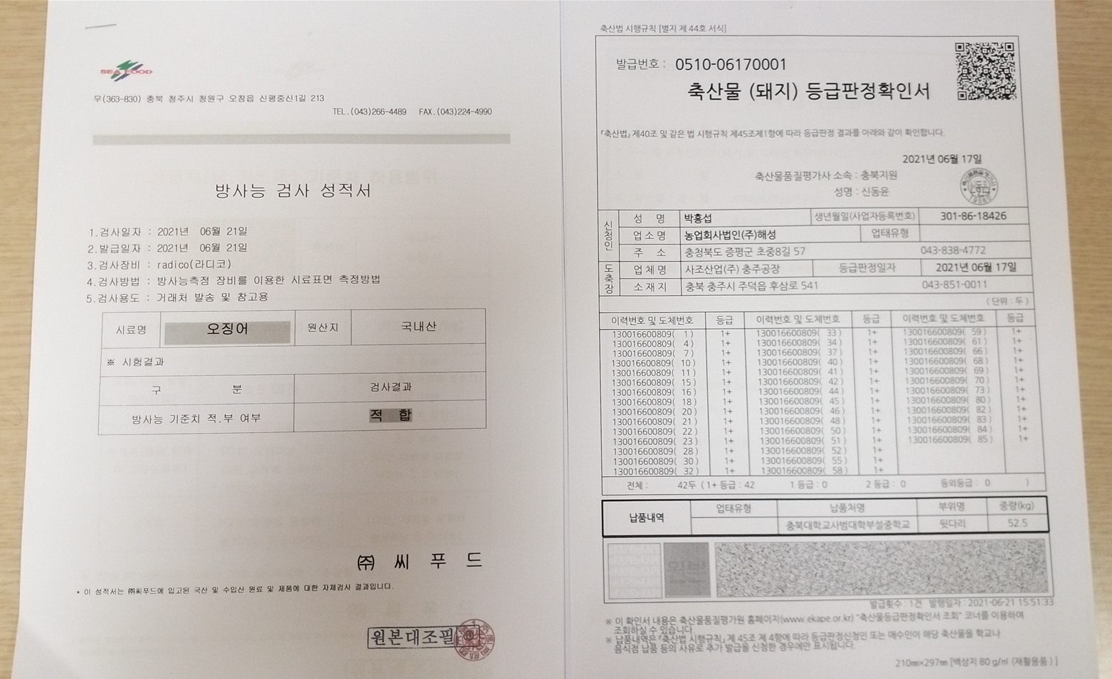 등급판정서