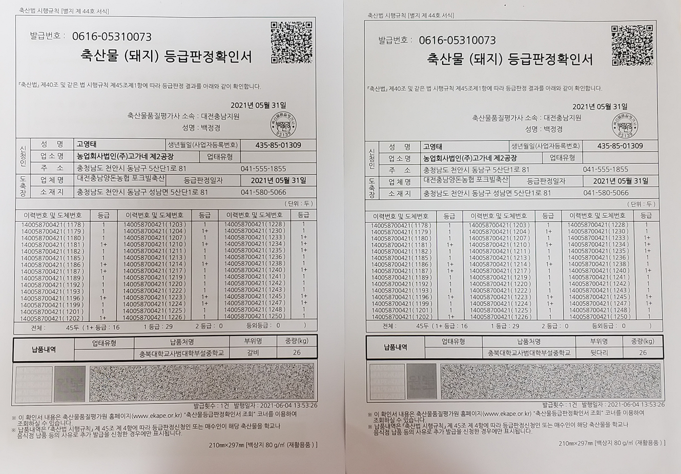 등급판정서2