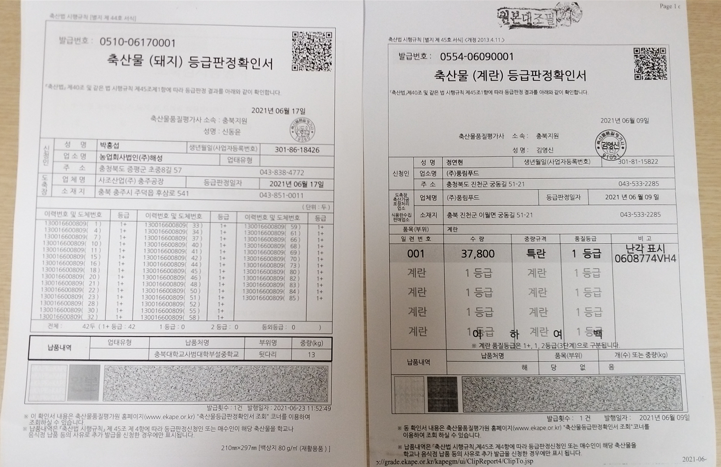 등급판정서