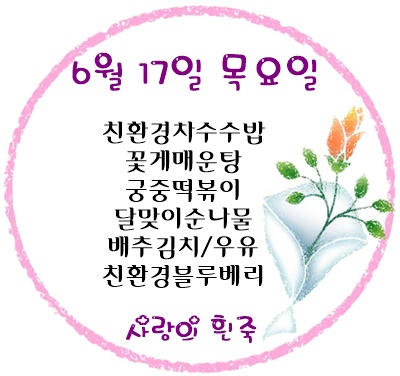 6월 17일 메뉴