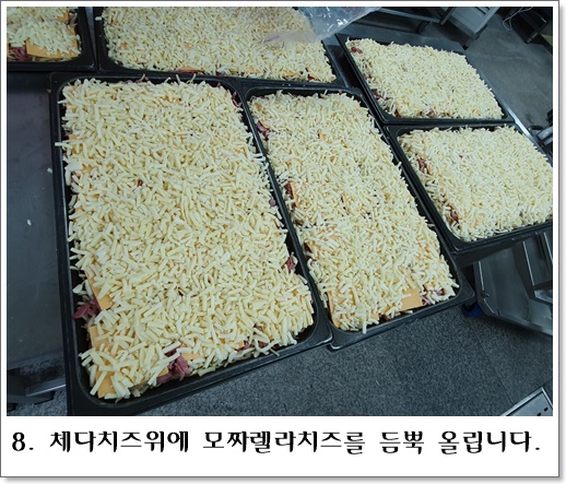 오지치즈8