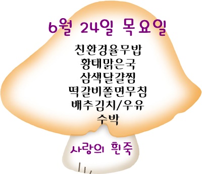 6월 24일 메뉴