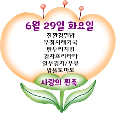 6월 29일 메뉴