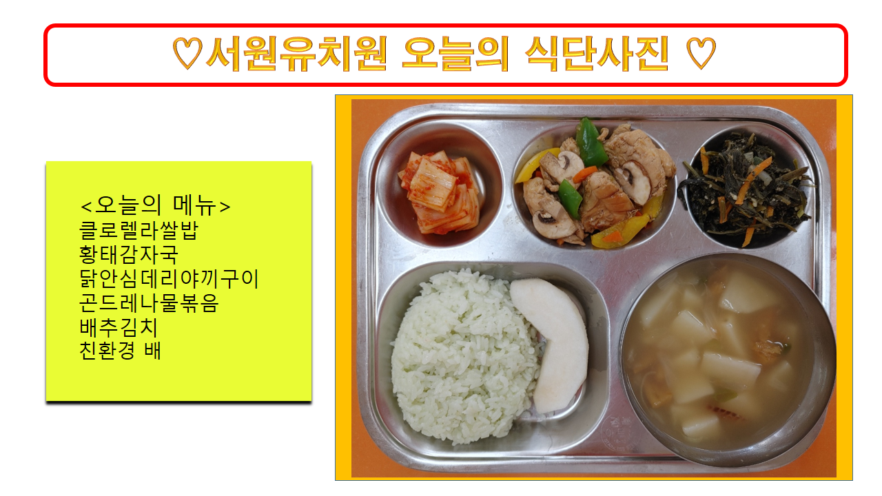 식단사진(2021)