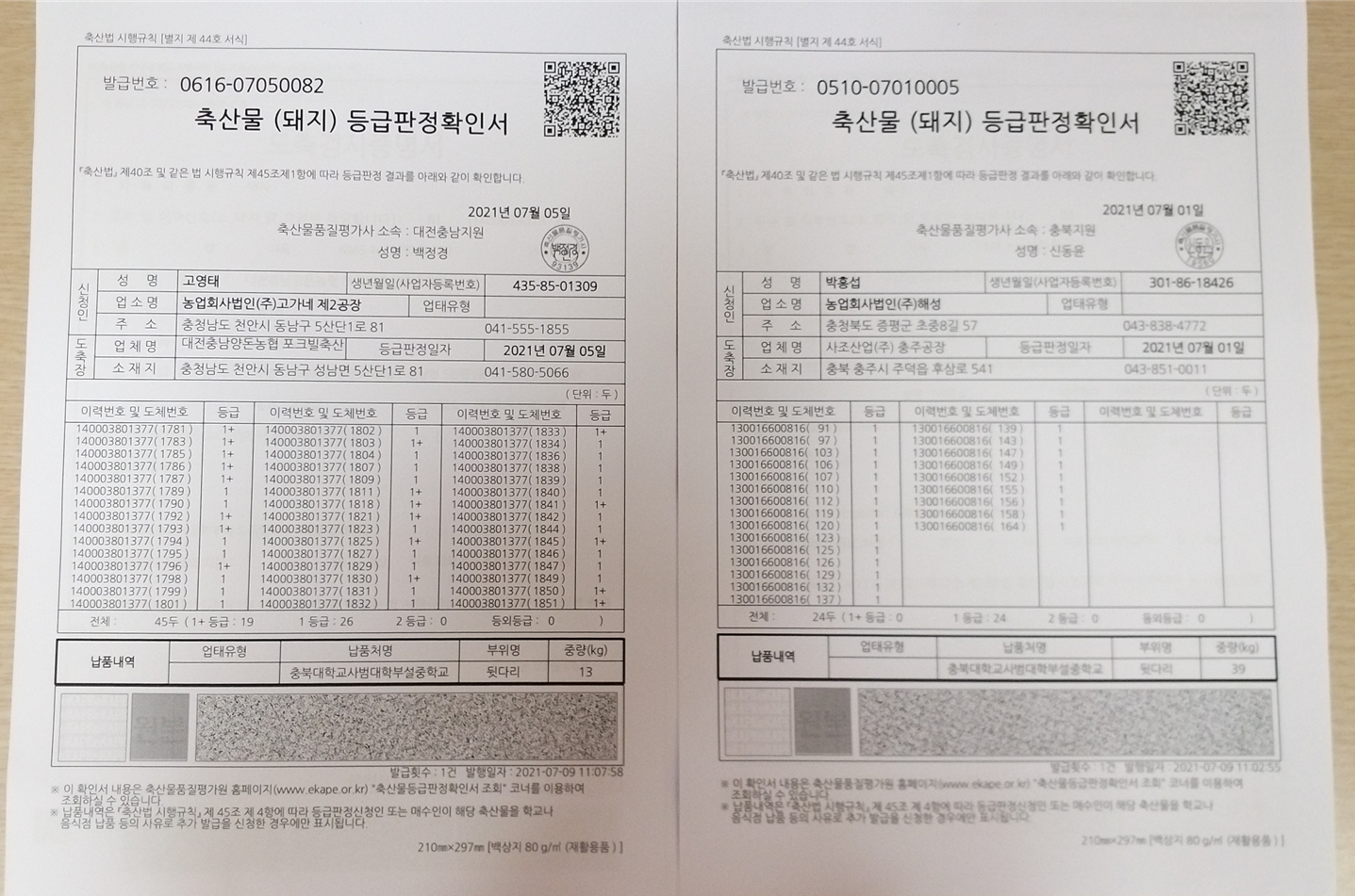 등급판정서