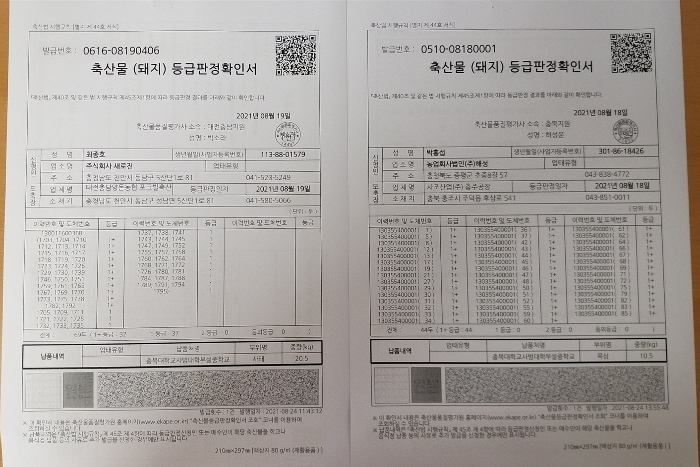 등급판정서1