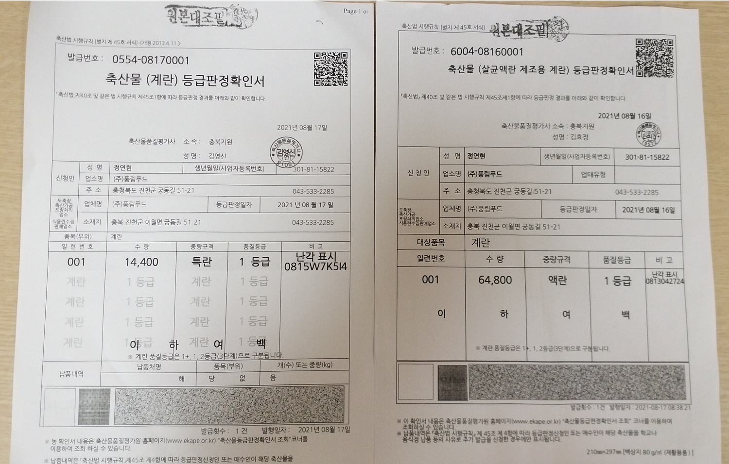 계란등급판정