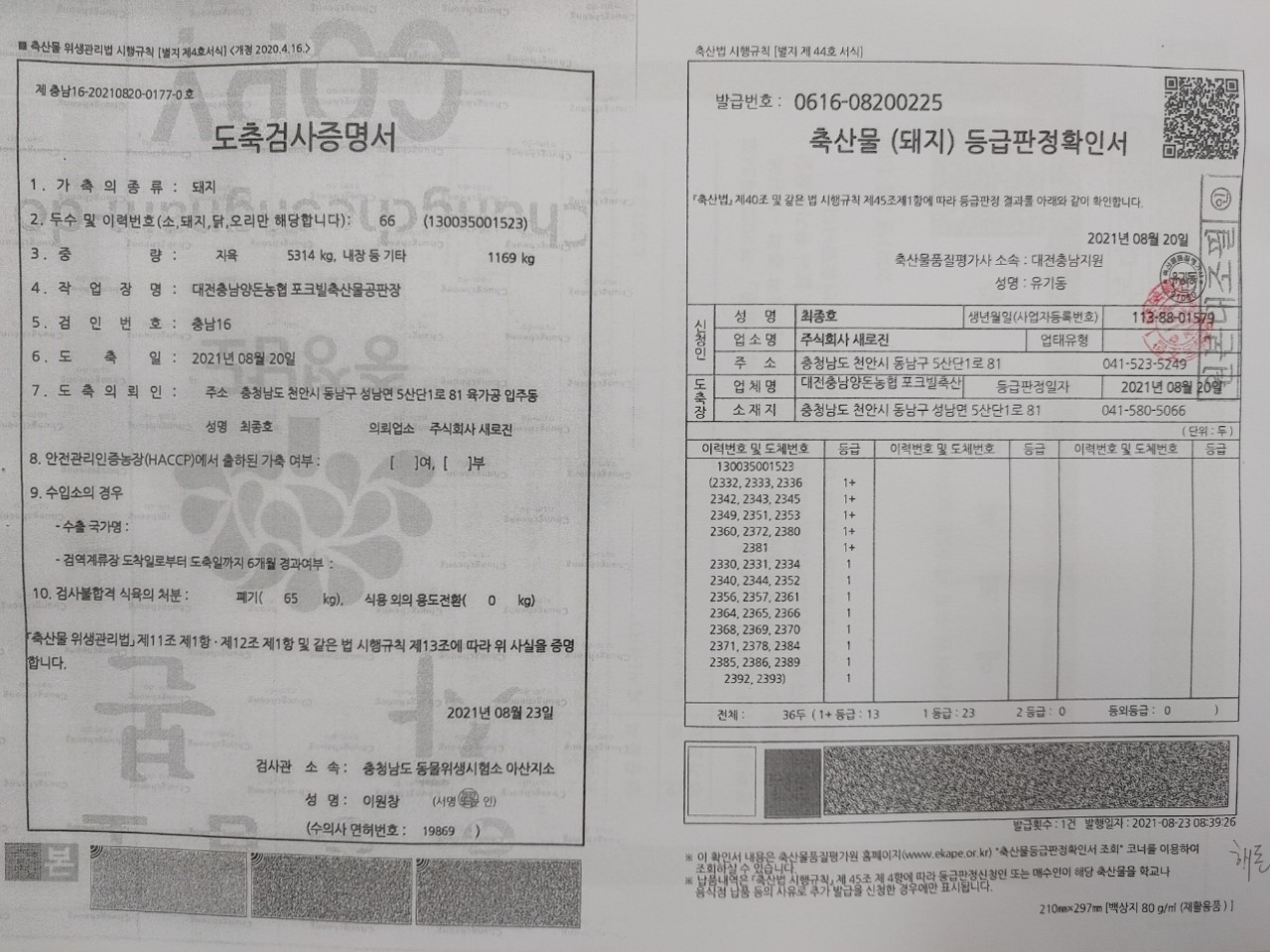 21.8.25.-1