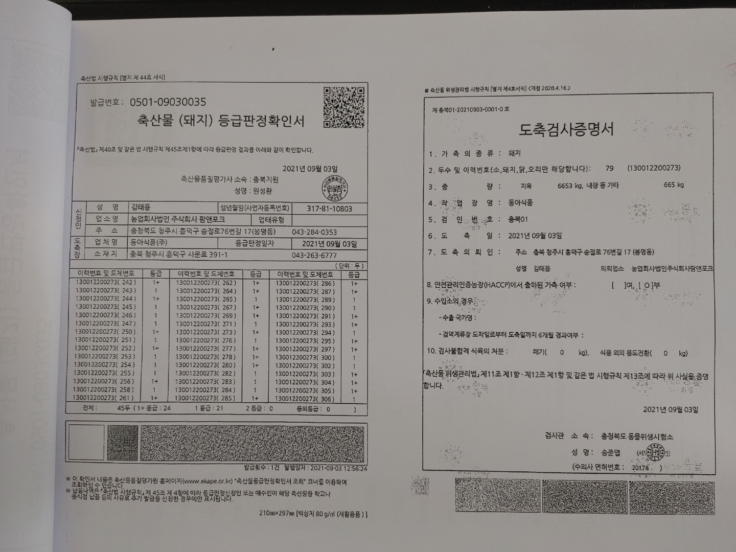 KakaoTalk_20210917_121421044_01