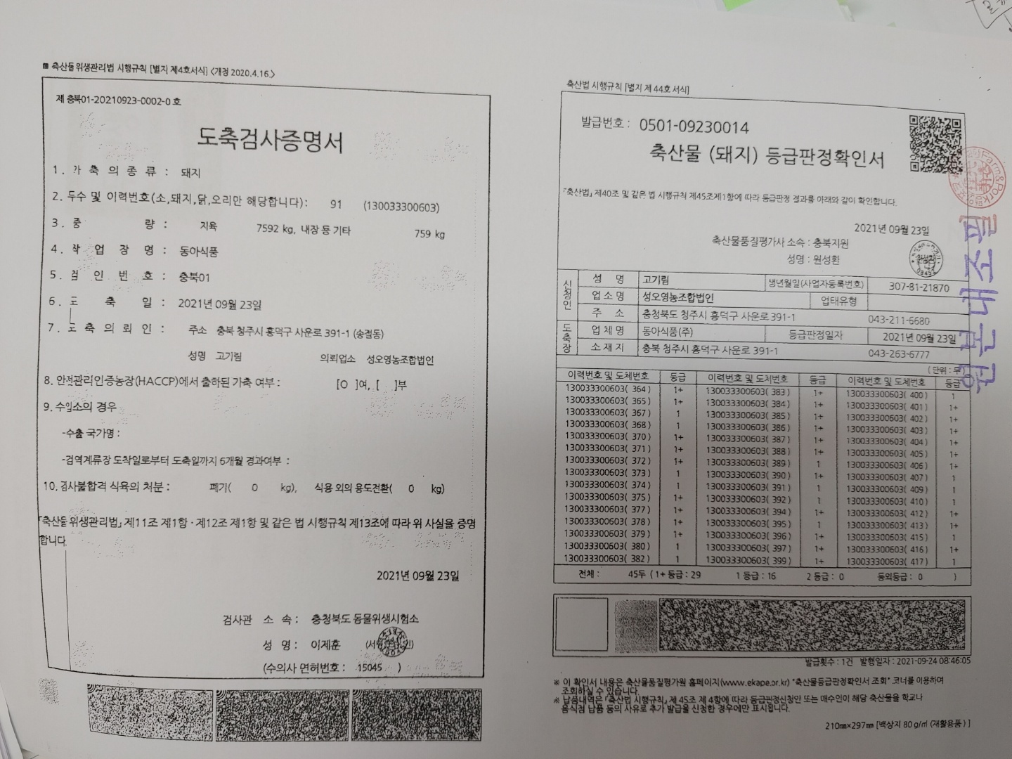 KakaoTalk_20210927_132439297_01