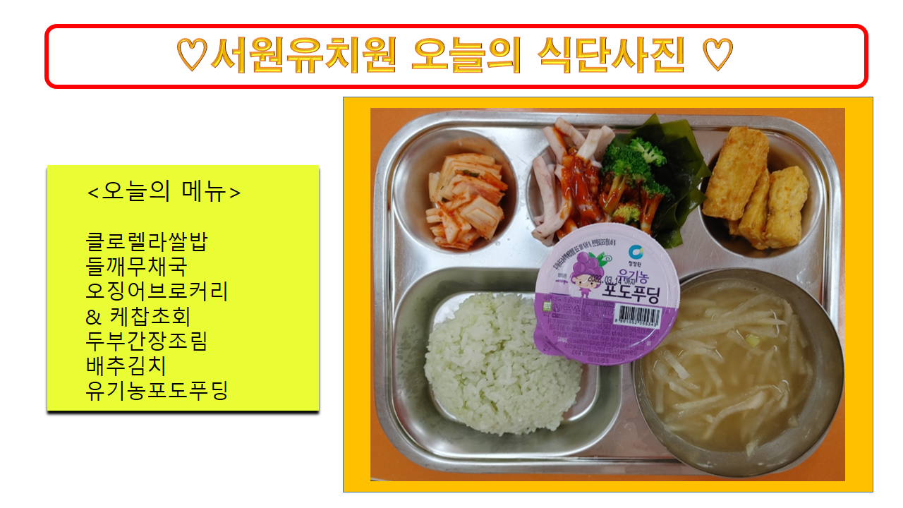 식단사진(2021)