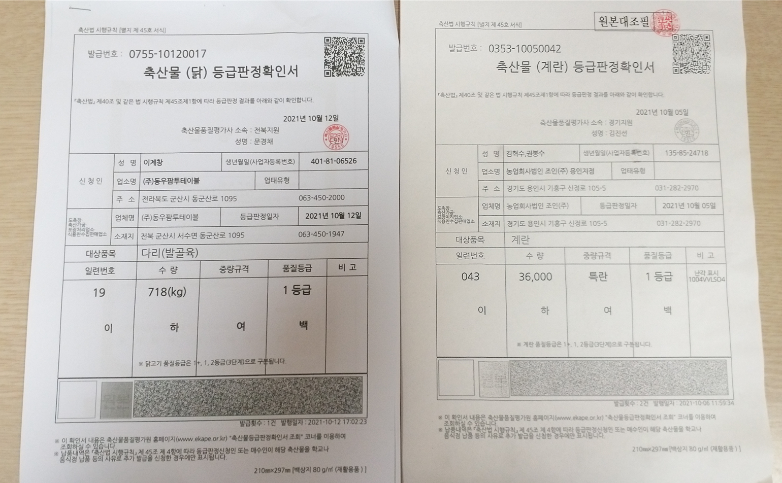 등급판정확인사