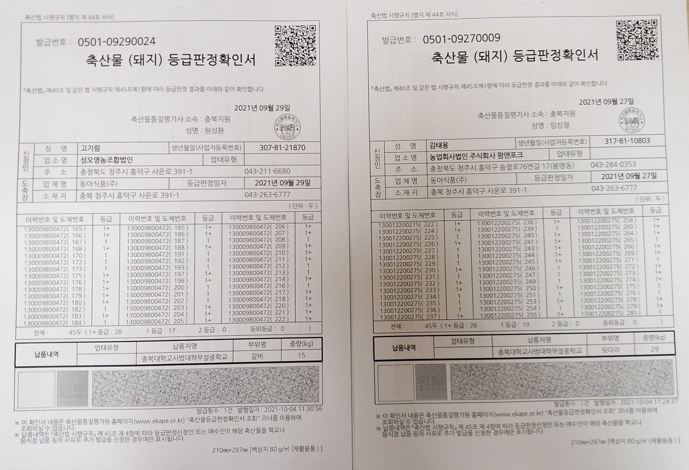 등급판정서