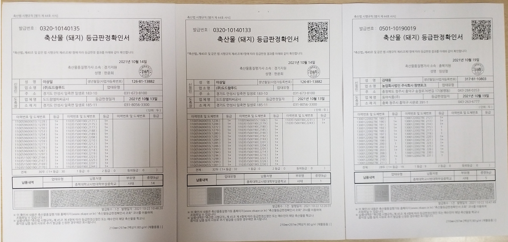 등급판정서