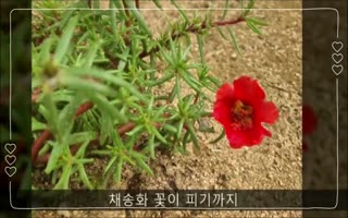 대표이미지.jpg
