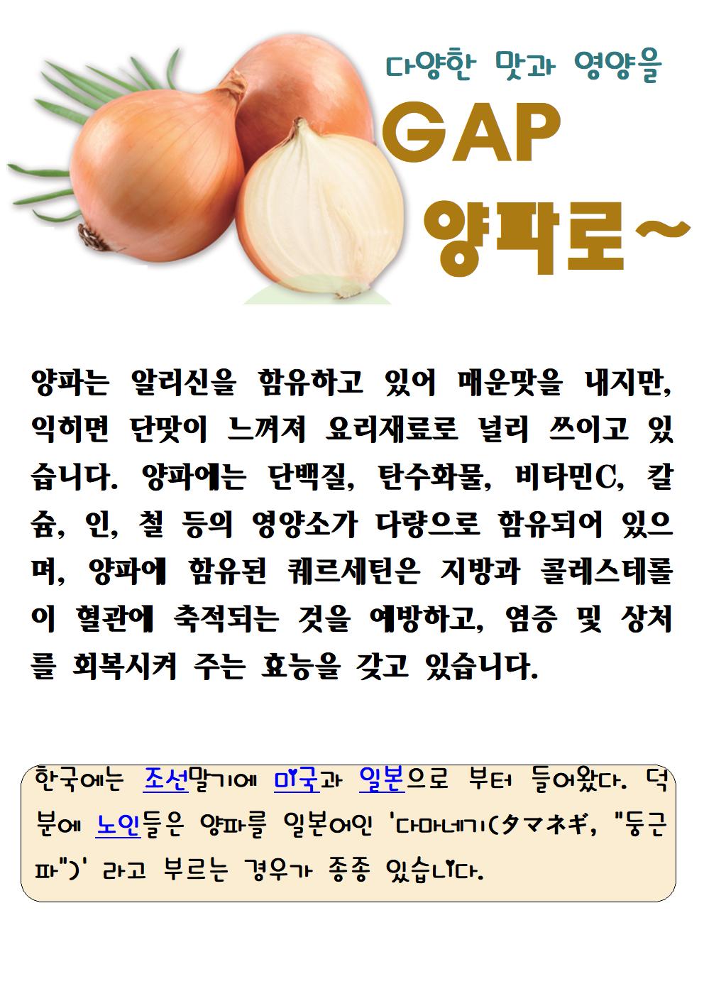 양파(10.21)001