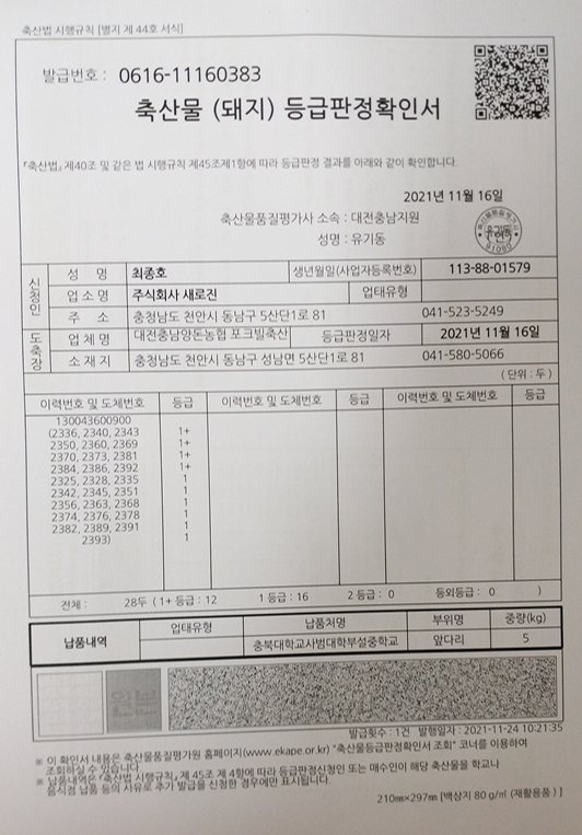 돈육등판2