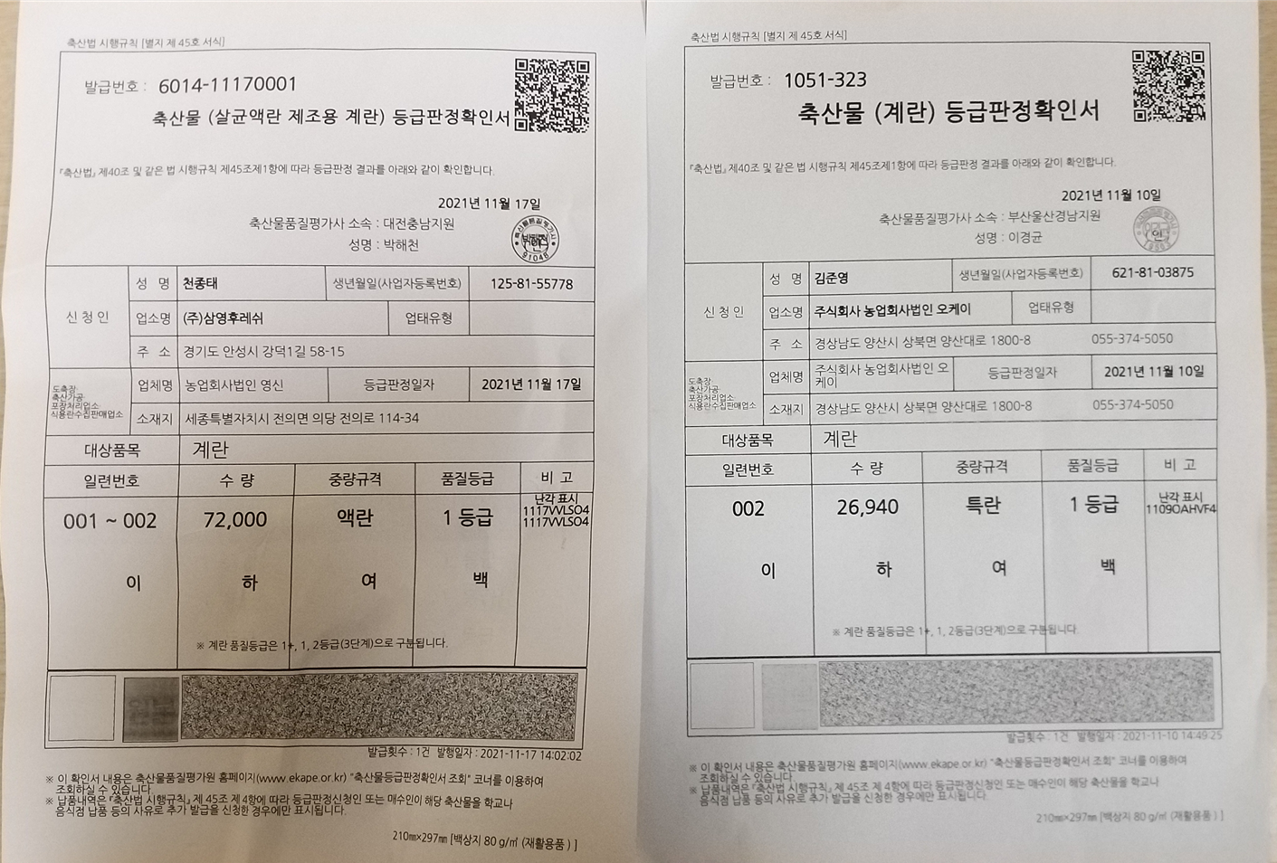 등급판정서