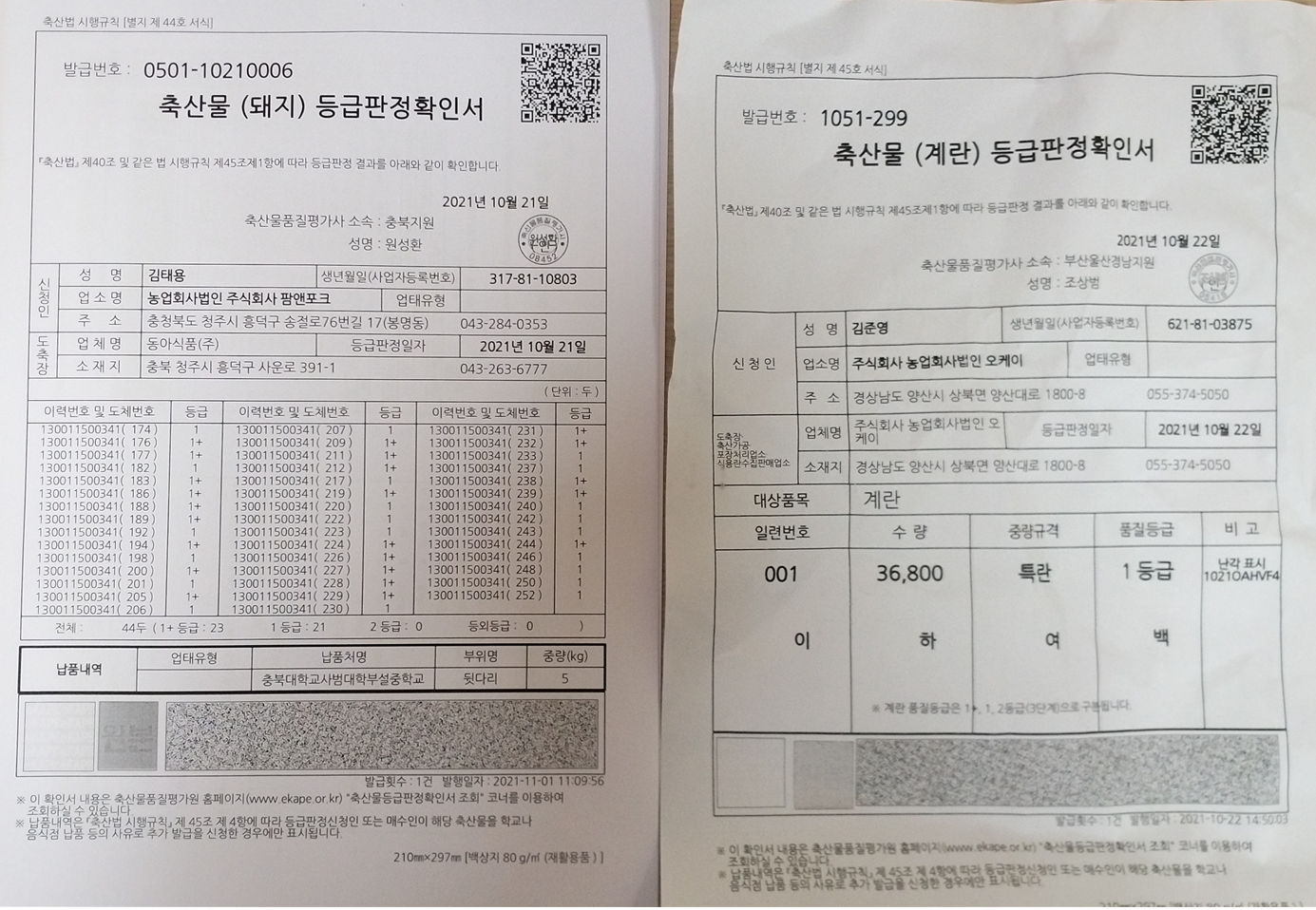 등급판정서