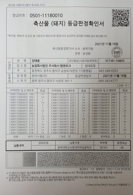 돈육등판