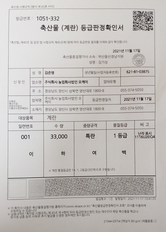 계란등판