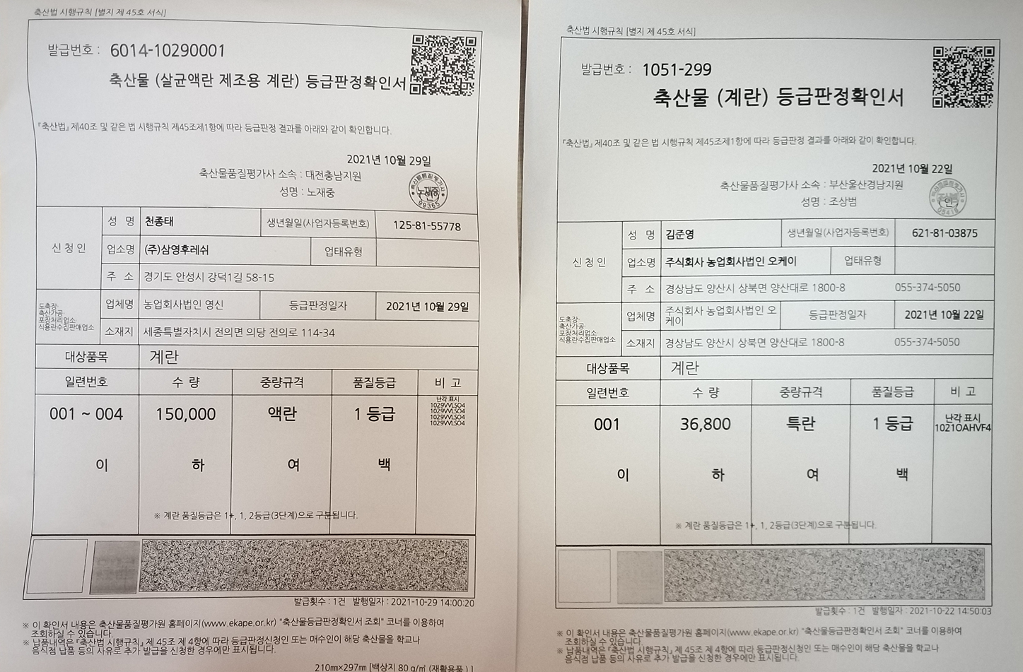 계란등급판정서