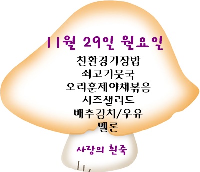 11월 29일 메뉴