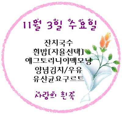 11월 3일 메뉴