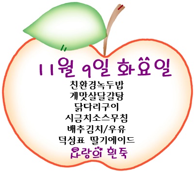 11월 9일 메뉴