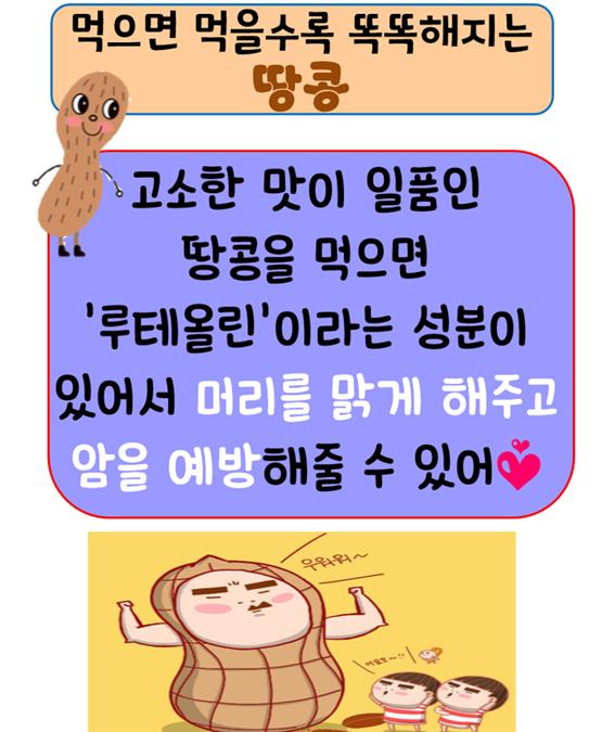땅콩(11.25)